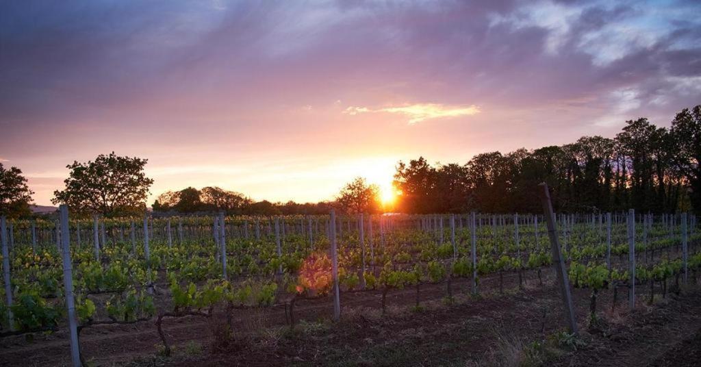 Agriturismo Eco-Bio Villa Vacasio Pitigliano Ngoại thất bức ảnh